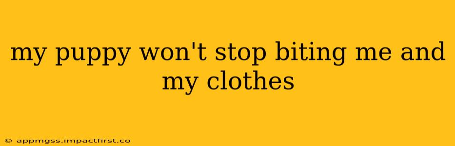 my puppy won't stop biting me and my clothes