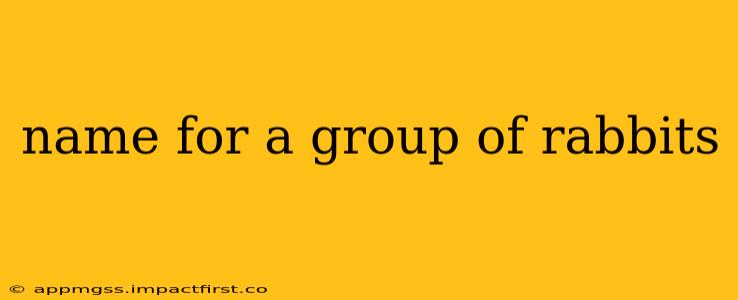 name for a group of rabbits