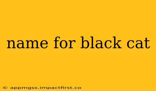 name for black cat