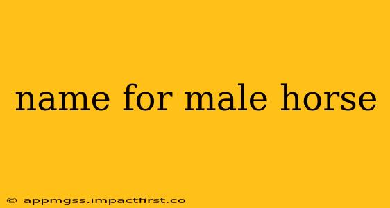name for male horse