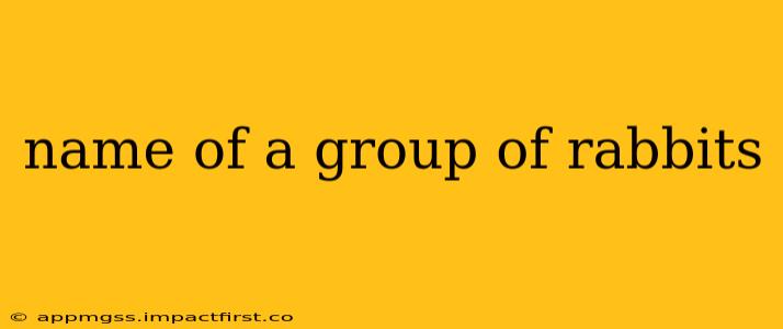 name of a group of rabbits