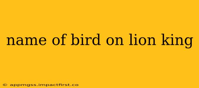 name of bird on lion king