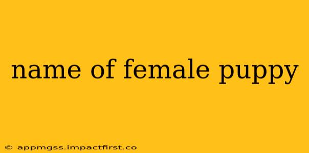 name of female puppy