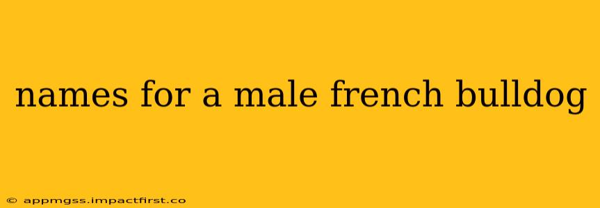 names for a male french bulldog
