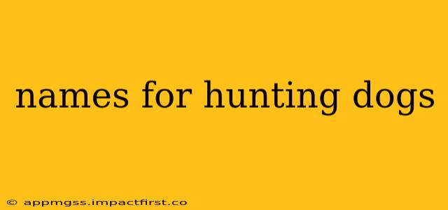 names for hunting dogs
