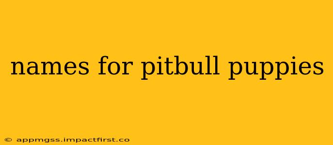 names for pitbull puppies