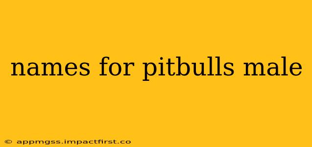 names for pitbulls male
