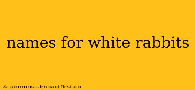 names for white rabbits