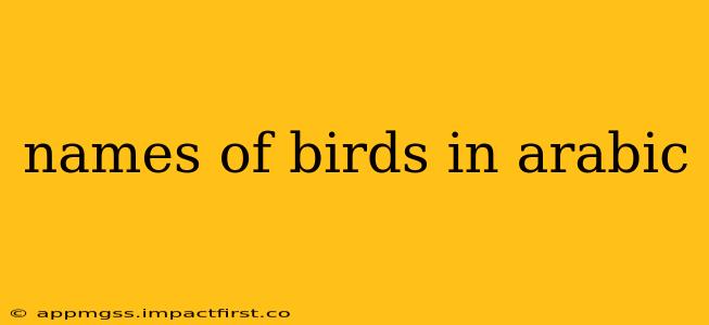 names of birds in arabic