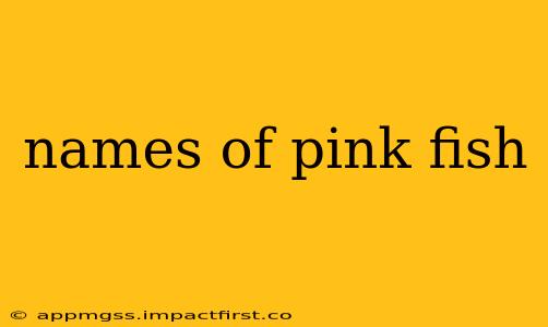 names of pink fish