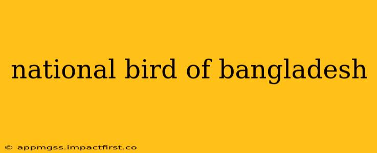 national bird of bangladesh