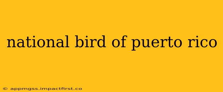 national bird of puerto rico