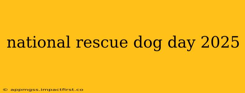national rescue dog day 2025