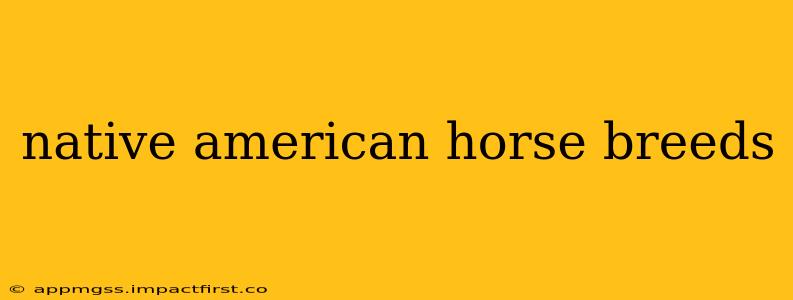 native american horse breeds