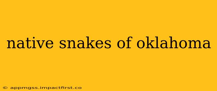 native snakes of oklahoma