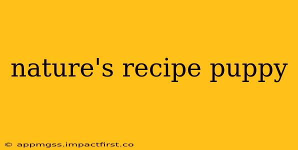 nature's recipe puppy