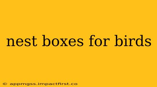 nest boxes for birds