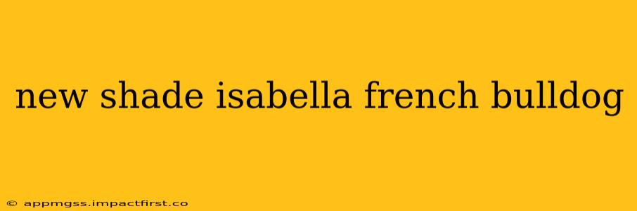 new shade isabella french bulldog