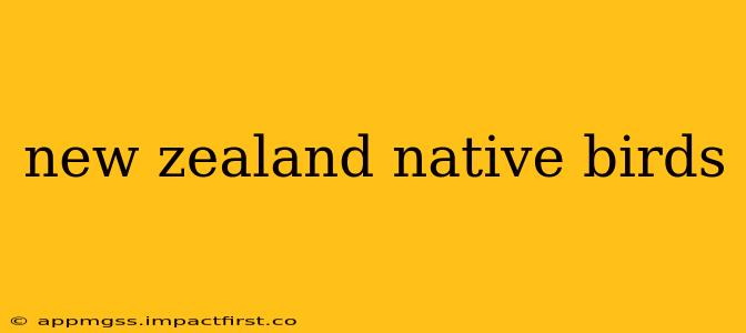 new zealand native birds
