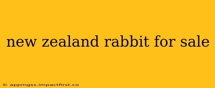 new zealand rabbit for sale