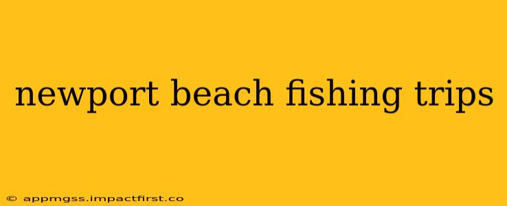 newport beach fishing trips