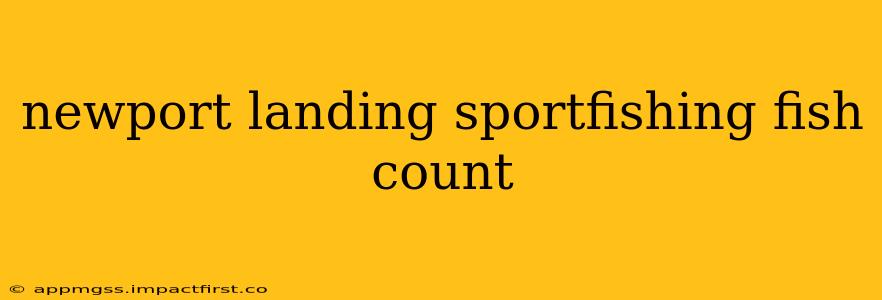 newport landing sportfishing fish count