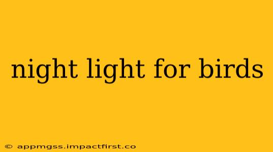 night light for birds