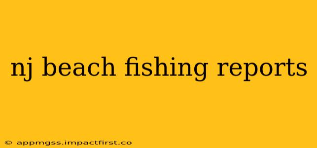 nj beach fishing reports
