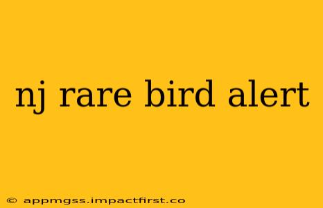 nj rare bird alert