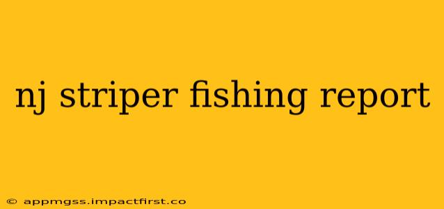 nj striper fishing report