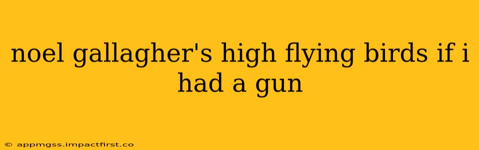 noel gallagher's high flying birds if i had a gun