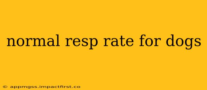 normal resp rate for dogs