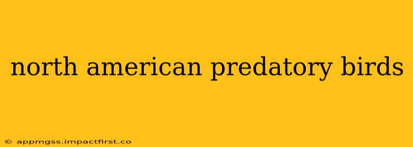 north american predatory birds