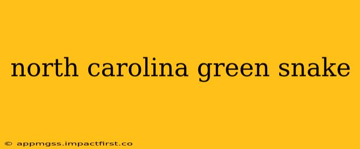 north carolina green snake