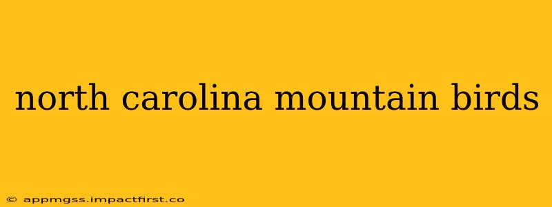 north carolina mountain birds