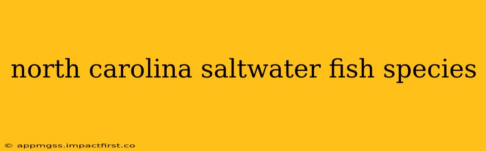 north carolina saltwater fish species