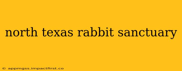 north texas rabbit sanctuary