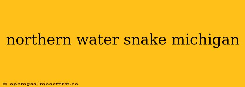 northern water snake michigan
