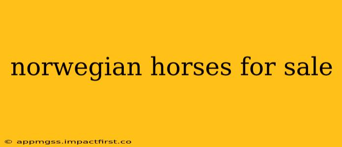 norwegian horses for sale