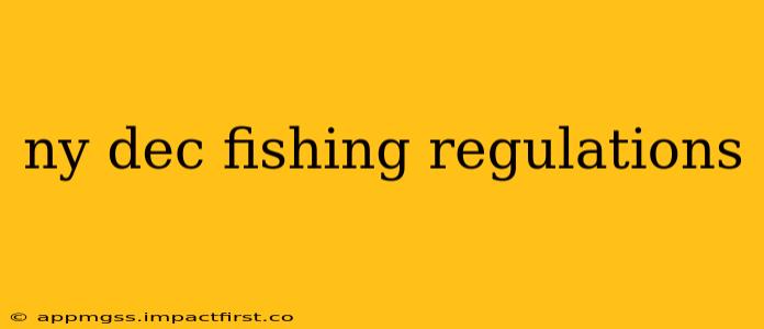 ny dec fishing regulations