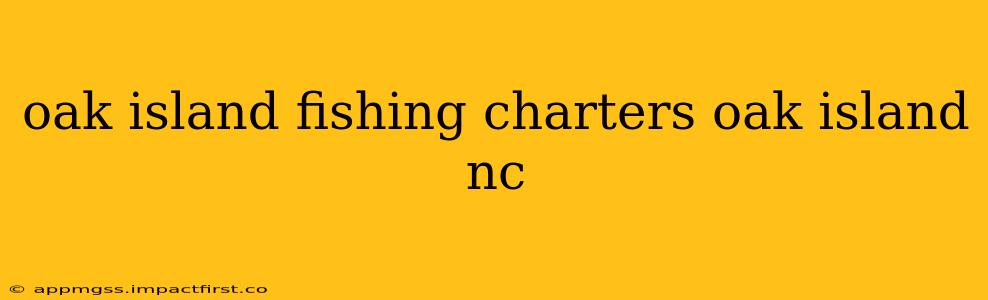 oak island fishing charters oak island nc