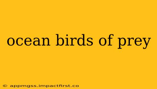 ocean birds of prey