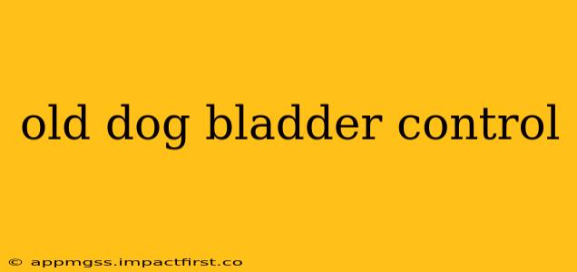old dog bladder control