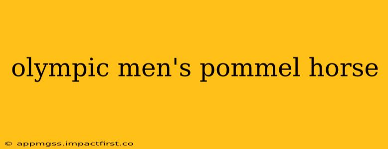 olympic men's pommel horse