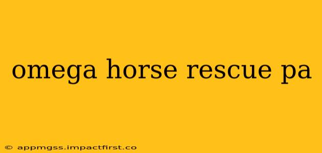omega horse rescue pa