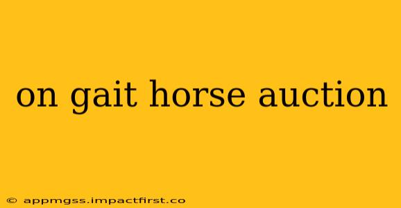 on gait horse auction