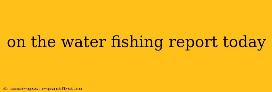 on the water fishing report today