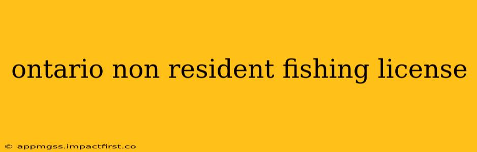ontario non resident fishing license
