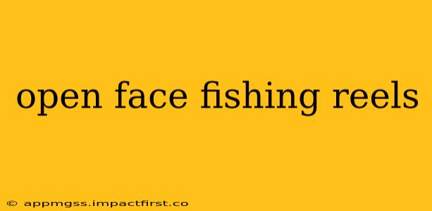 open face fishing reels