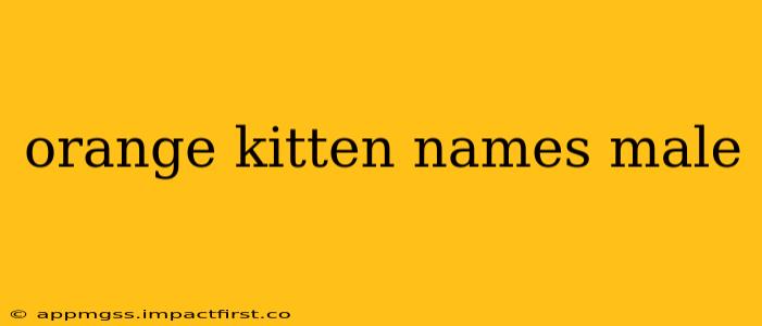 orange kitten names male